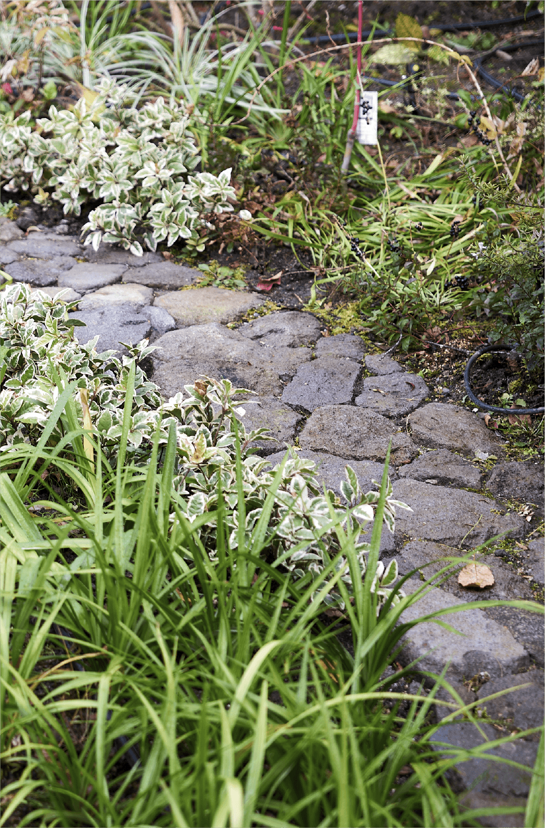 久邸｜施設案内